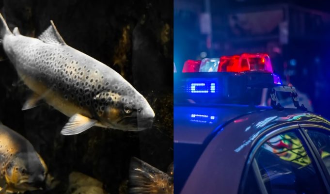 Did the Fish Trout Video Woman Commit Suicide After Getting Arrested and Charged?