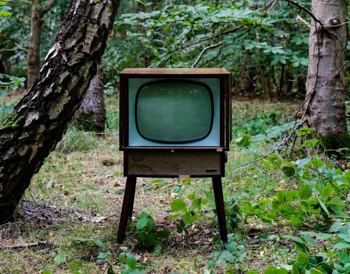 tv in forest