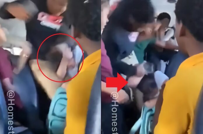two-boy-bullies-fighting-9-year-old-girl-homestead-florida
