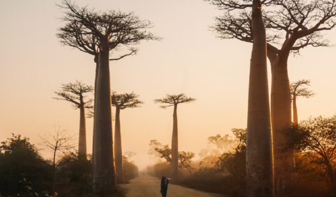Viral Photo Showing Visualization of the True Size of Africa Shocks the Internet