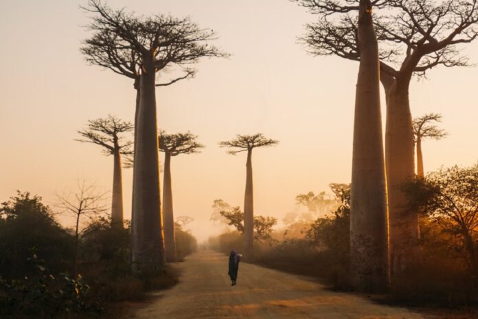 visualization-of-true-size-of-africa-1