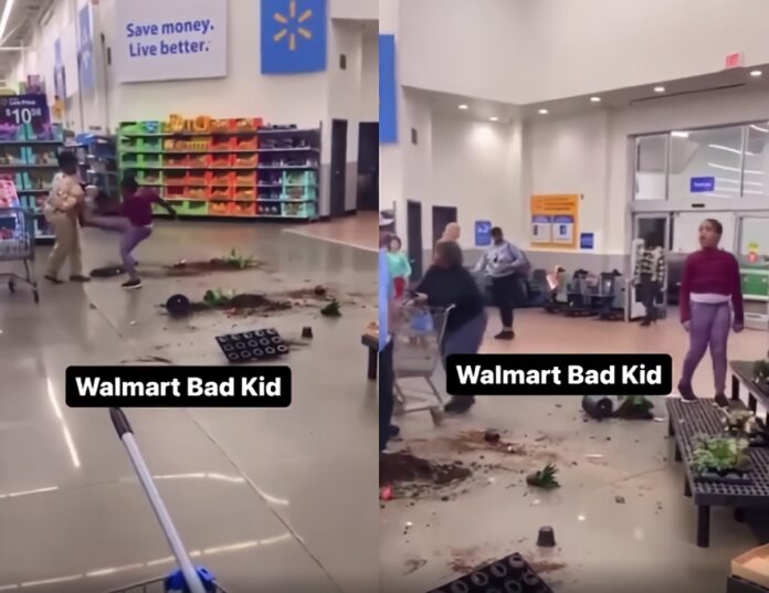 walmart-bad-kid-kicking-grandmother-destroying-store