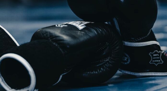 wilder-fury-2