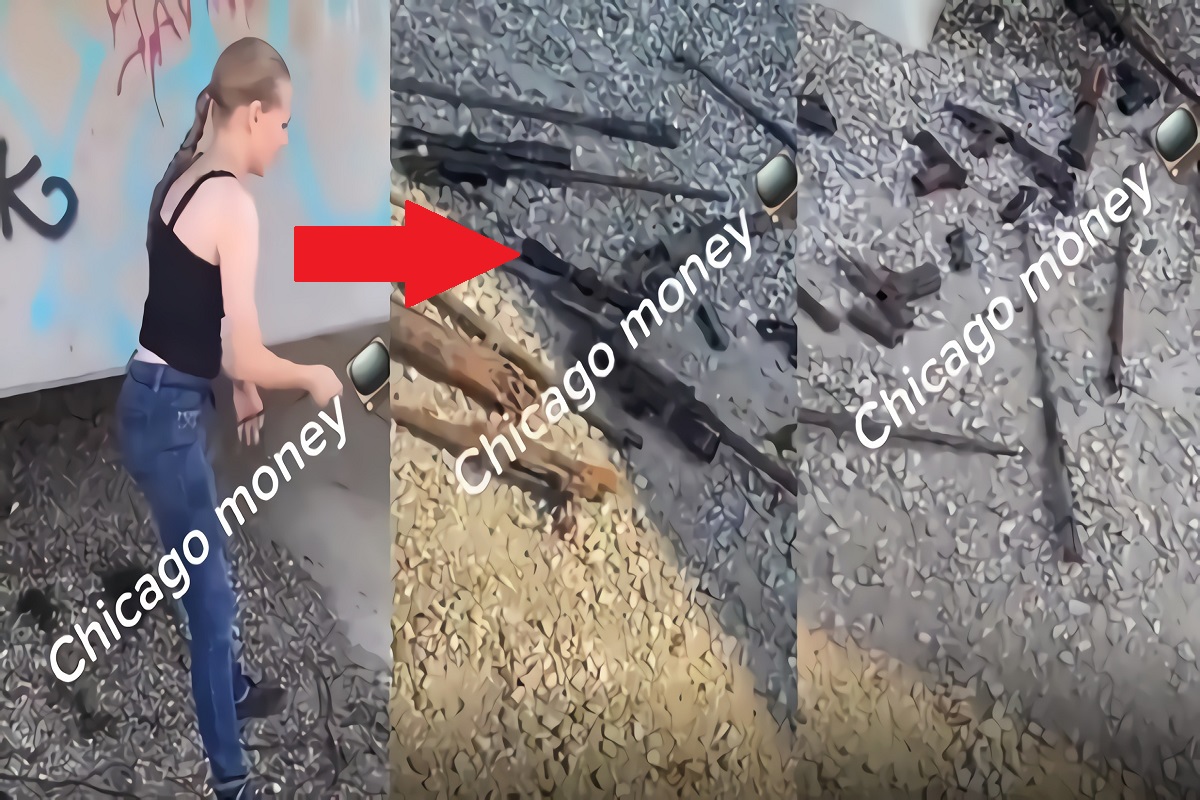 Woman Finds Arsenal of Guns and Semiautomatic Rifles While Magnet Fishing in Chicago Water