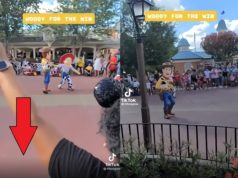 Did Woody Make Jessie Greet Black Kids at Disney World To Avoid a Racist Rapunze...