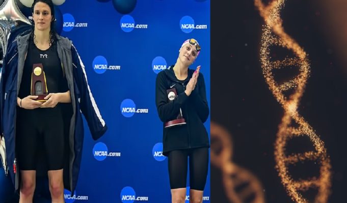 LGBTQ Community Reacts to FINA's 12 Year Rule Banning Transgender Female Athletes from World Swimming Women's Events