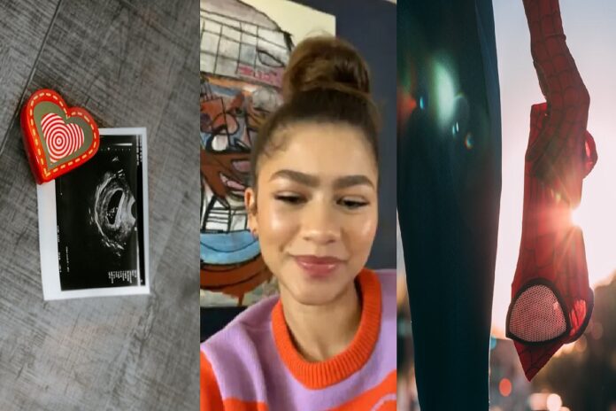 zendaya-pregnant-rumor-memes
